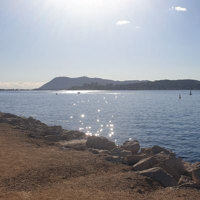 Steph3584's profile picture. 