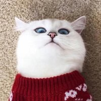慢冷 (@manllllllllll) 's Twitter Profile Photo 慢冷 (@manllllllllll) 's Twitter Profile Photo
