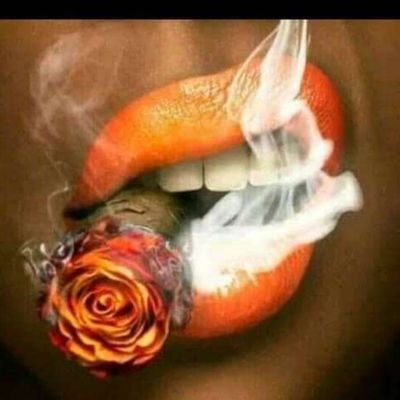 FestusD35034967's profile picture. 