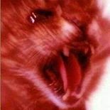 hawkF09's profile picture. yep