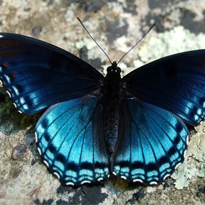 Valerie_Doug55's profile picture. Nanny/Grandma of 3 boys