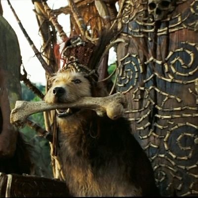 Jotace_81's profile picture. 