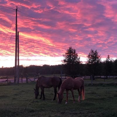 HeyHeyShirley's profile picture. 