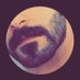 F. .Z (@fawazalihazazi) Twitter profile photo F. .Z (@fawazalihazazi) Twitter profile photo