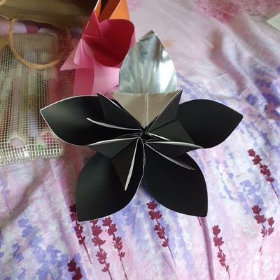 rariさんのプロフィール画像