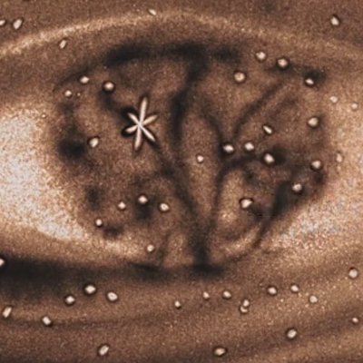 traeumweiterdok's profile picture. „Träum weiter!“ -  Ein Film, der Mut macht Träume in die Tat umzusetzen.