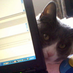 Concerned Citizen (@qltyzs) Twitter profile photo Concerned Citizen (@qltyzs) Twitter profile photo