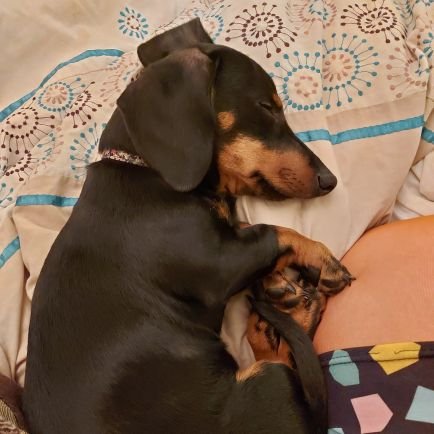 BourneZoe's profile picture. 