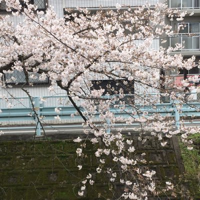 AplusA5's profile picture. 