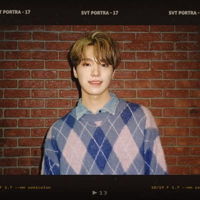 hoshirizal_'s profile picture. @pledis_17 she/her || @mine_gyuu