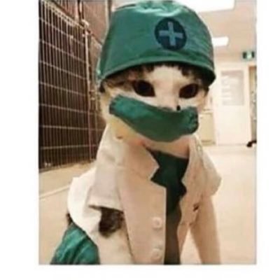 CatDoctored Profile Picture