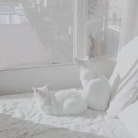 nia (@nia_s2s2) 's Twitter Profile