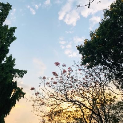 yourdocvikas's profile picture. physician, researcher and human