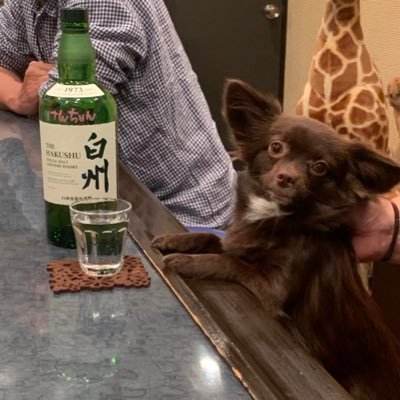 VKQmrPsltQVzAnx's profile picture. よろしく〜☆彡