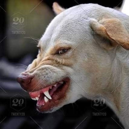 zariyahvillondo's profile picture. 'I was... busy catching feelings for you.' -Josiah travis montefalco.