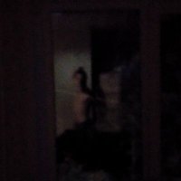 JerBananec (@jbananec) 's Twitter Profile