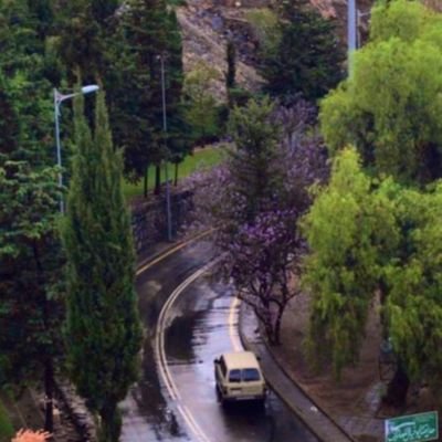 asiri_ao's profile picture. ياربعنا يامدورين  القهاوي
قرصين بُر .. و دلِّةٍ شاذلية.