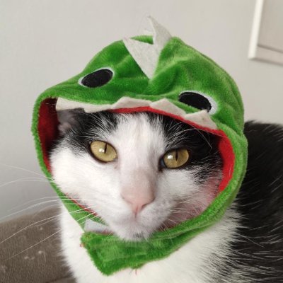 Lastさんのプロフィール画像