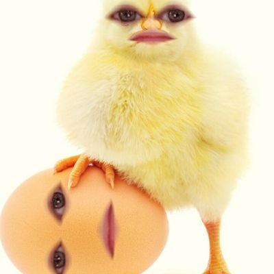 Just an egg account. Livin' la vida yolka! I have opinions, they are my own, just like you are entitled to yours. Now with a healthy sprinkling of sarcasm...