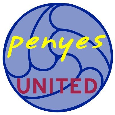 Candidacy for the 2021 World Penyes Federation elections