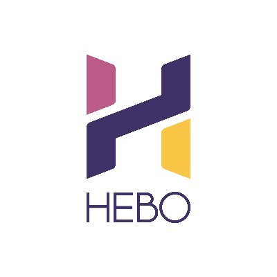 ConsultHebo Profile Picture