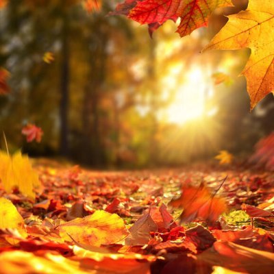 DurhamParents's profile picture. Account closed