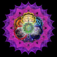 the Shared Story (@story_shared) 's Twitter Profile Photo the Shared Story (@story_shared) 's Twitter Profile Photo