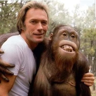 Michele35039800's profile picture. A dark soul wandering