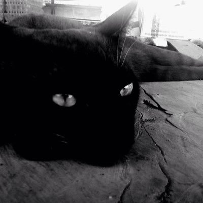 lllตงฟางป้อแป้👽さんのプロフィール画像