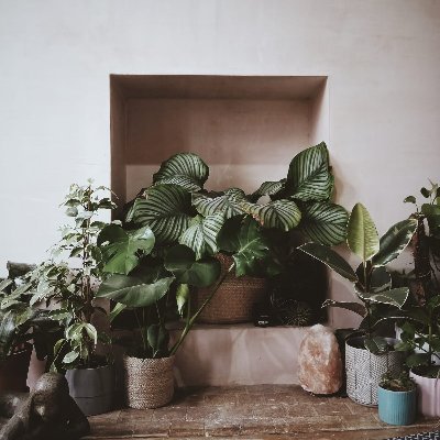 mustbe_mindful's profile picture. Online Mindfulness & Wellness Classes | Massage | Reiki | Cupping #mustbemindful