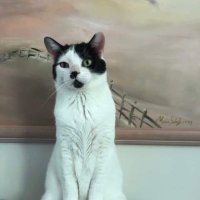 Jean Parfionko (@ajpecommerce) 's Twitter Profile