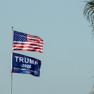 marian_willey's profile picture. Patriotic American
Logician & Theorist
Seeking Truth & Justice