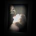 JW*#.. (@ialwaysusethis) Twitter profile photo