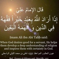 نور الهدى (@mmxwkmsvxfmjinx) Twitter profile photo