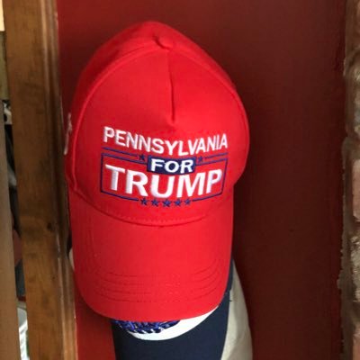 Conservative, Christian Catholic, MAGA, MAHA, Trump supporter. Newly visually impaired and retiring after 28 years as a PSD in NY. Gay but non practicing.