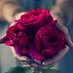 Basma (@basma31670675) Twitter profile photo Basma (@basma31670675) Twitter profile photo
