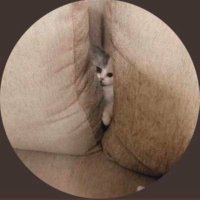 Chai. (@ch4ii) 's Twitter Profile