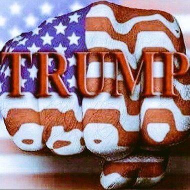 Identify as American, pro small gov, Thank you Donald J. Trump for pulling back the curtain on the Deep State/Lame Stream Media. #UltraMAGA #KAG #AmericaFirst