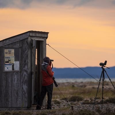 Gathering material for a book on U.S. bird conservation: celebrating not the list, but birds & their vital places. Read here: https://t.co/7Ne0bjdH5c