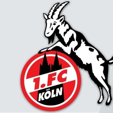 Jedyne polskie konto poświęcone klubowi 1. FC Köln