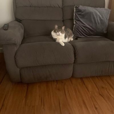 troc001's profile picture. 