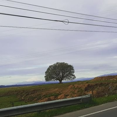 LoreToAmada's profile picture. Al final, lo que importa no son los años de vida, sino la vida de los años ⚖