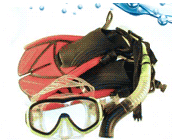 Here at Snorkeling Equipments we believe in offering the best snorkeling equipment at an affordable price. It is our mission to help our customers explore!