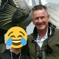 🇯🇵Nigelファン🇬🇧(@MarvenNigel) 's Twitter Profile Photo