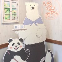 真澄 (@ms_m1104) 's Twitter Profile