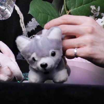 지니🐼さんのプロフィール画像