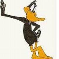 David Dale (@thetribalmind) 's Twitter Profile Photo