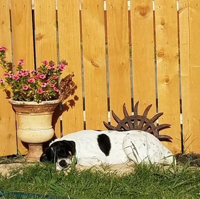 CRobWaxBoss's profile picture. wax boss, baseball mom, photographer, artist