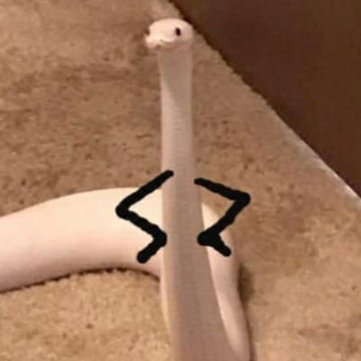 RayLyn18279929's profile picture. .