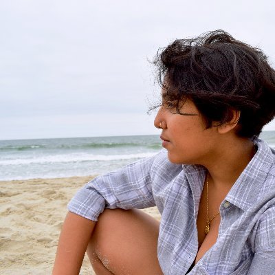 filmmaker & phd @UCI_Informatics researching pol econ + tech, logistics, crisis, labor, & rentier capitalism // former gender justice organizer @DesisRisingUp